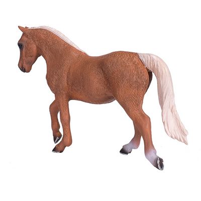 Mojo Kůň morgan palomino