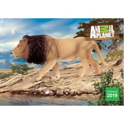 Mojo Katalog 2019