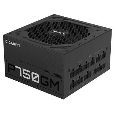 GIGABYTE P750GM, 750W
