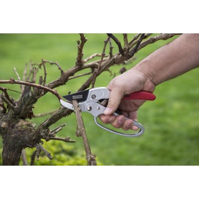 Kreator KRTGR1004 - Nůžky zahradnické 205mm ráčnové