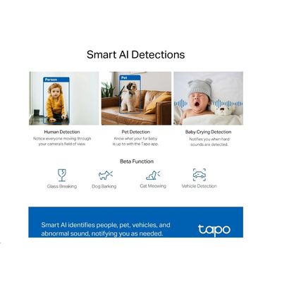 TP-LINK Tapo C220