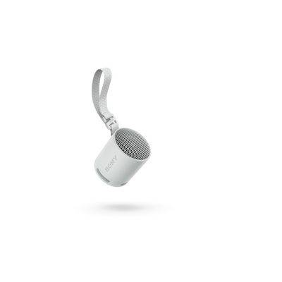 Sony Sony SRS-XB100, šedá