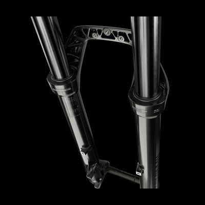 Vidlice RockShox Recon Silver RL - 29 - Solo Air - 120mm zdvih, 15x110mm, crown - odpružená vidlice
