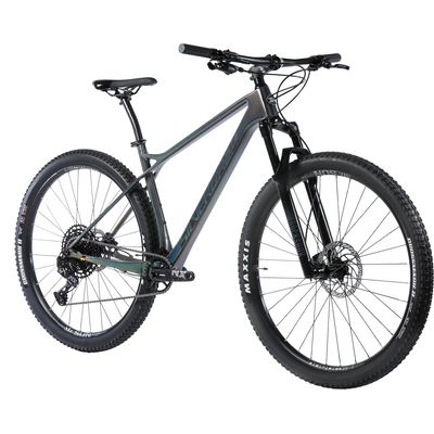 Horské kolo SILVERBACK Superspeed CF, SRAM GX 12s, vel.M - Grey