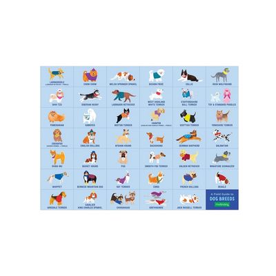 Mudpuppy Puzzle skládej a hledej Psí den 64 dílů