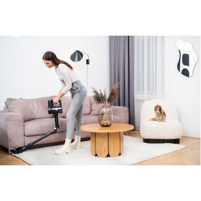 Lauben Stick Vacuum 2in1 Pet Plus 400BC - tyčový vysavač 2v1