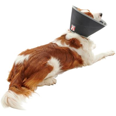 Buster Límec ochranný pěnový Foam Collar 25cm 1ks
