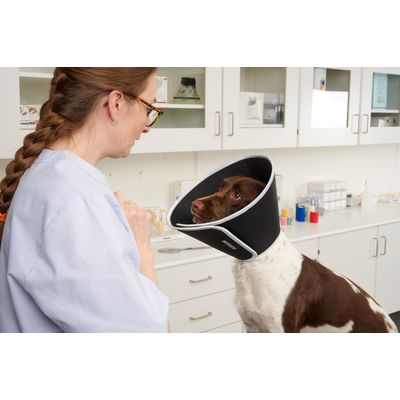 Buster Límec ochranný pěnový Foam Collar 25cm 1ks