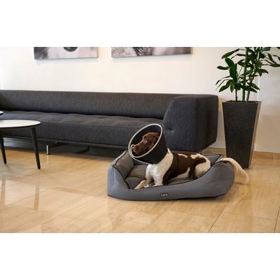 Buster Límec ochranný pěnový Foam Collar 25cm 1ks