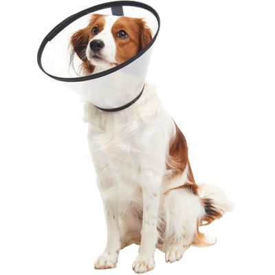 Buster Límec ochranný plastový Quick Collar 15cm