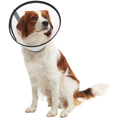 Buster Límec ochranný plastový Quick Collar 15cm