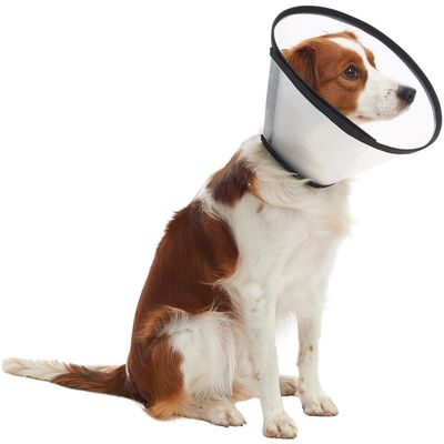 Buster Límec ochranný plastový Quick Collar 15cm
