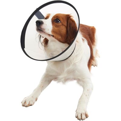 Buster Límec ochranný plastový Quick Collar 15cm