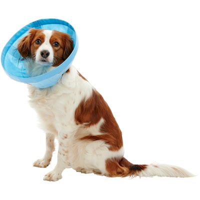 Buster Límec ochranný Soft Flex Collar 25cm