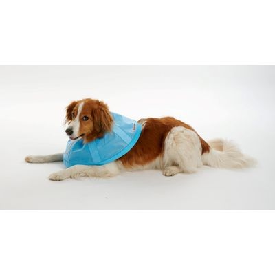 Buster Límec ochranný Soft Flex Collar 25cm