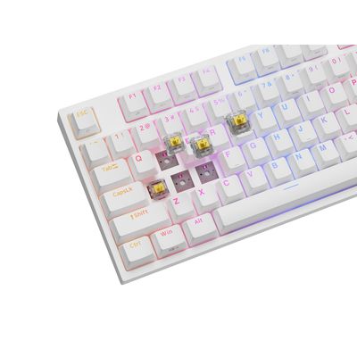 Genesis Thor 404 (Gateron Yellow Pro), bílá, US
