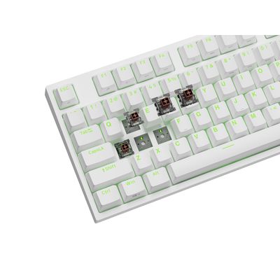 Genesis Thor 404 (Kailh Box Brown), bílá, US
