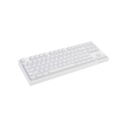 Genesis Thor 404 (Kailh Box Brown), bílá, US