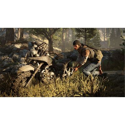 PS4 hra - Days Gone