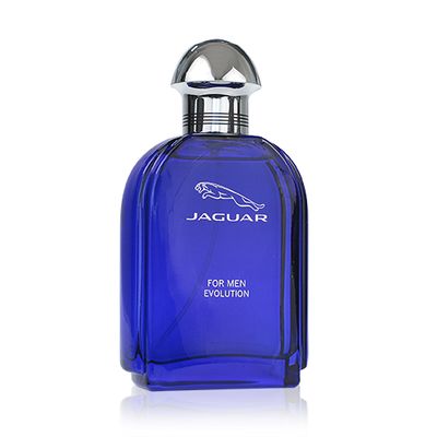 Jaguar For Men Evolution EdT 100 ml Pro muže