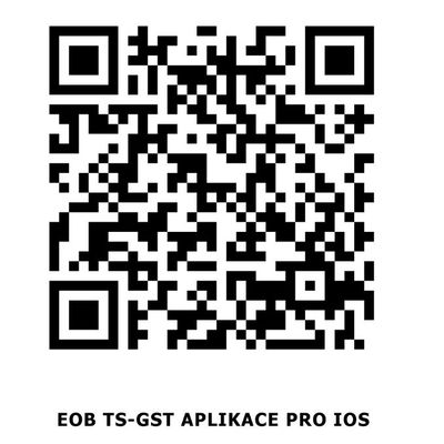 ELEKTROBOCK GSM zásuvka s možností regulace teploty TS11 GST