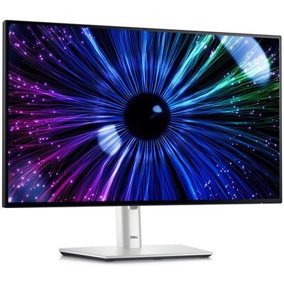 DELL UltraSharp U2424HE (210-BKJF)