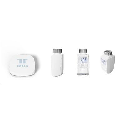 TESLA Smart Bundle Basic (3x Valve + Hub)