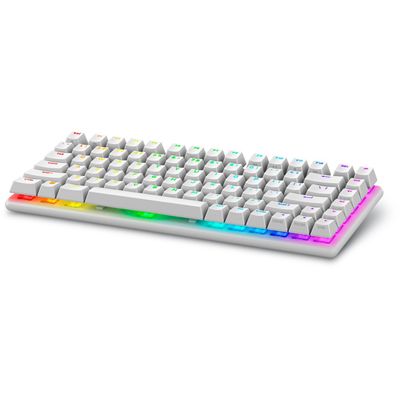 DELL Alienware Pro Wireless Gaming Keyboard (US, Lunar Light)