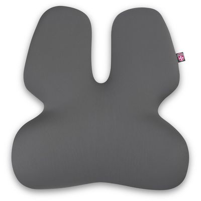 CONNECT IT FOR HEALTH GamaPro Anatomická bederní opěrka na židli, ŠEDÁ