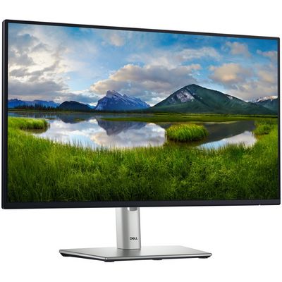 DELL Professional P2425H (210-BMFF)