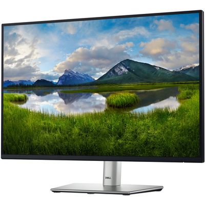 DELL Professional P2425 (210-BMJD)