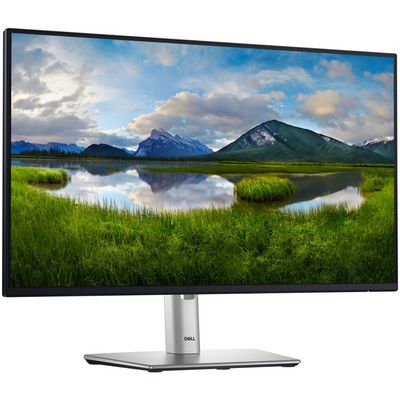 DELL Professional P2425HE (210-BMJB)