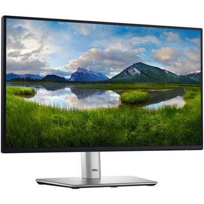 DELL Professional P2225H (210-BMHD)