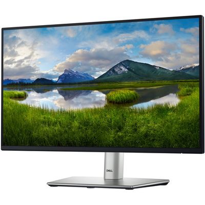 DELL Professional P2225H (210-BMHD)