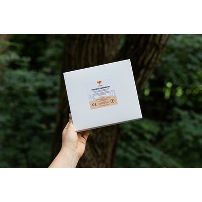 BeWooden Pískoví kamarádi - Království