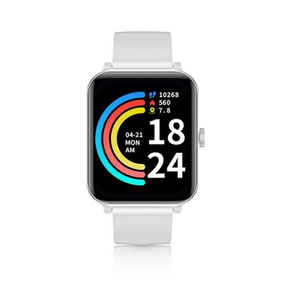Niceboy WATCH Lite 4, stříbrné