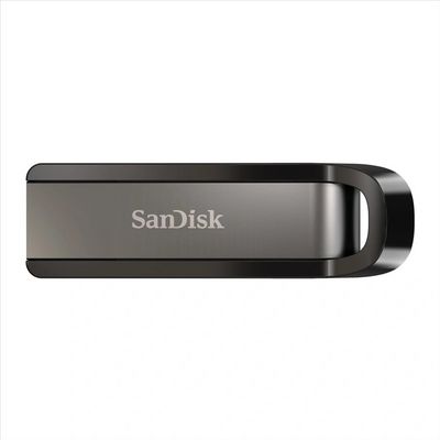 SanDisk Extreme Go 256GB