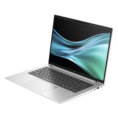 HP EliteBook 845 G11 (9G1A6ET)