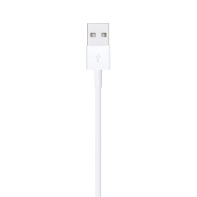 Apple Lightning to USB Cable (1m) (MUQW3ZM/A)