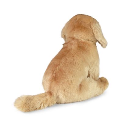 Rappa Plyšový labrador sedící 27 cm ECO-FRIENDLY