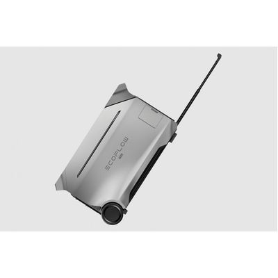 EcoFlow DELTA Pro 3