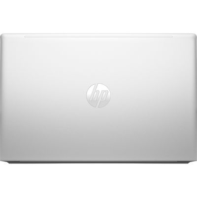 HP ProBook 455 G10 (9Y703AT)