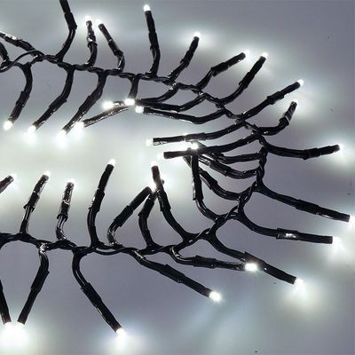Solight LED venkovní vánoční řetěz s dálkovým ovládáním - Cluster, 576 LED, 8 funkcí, časovač, IP44, studená bílá