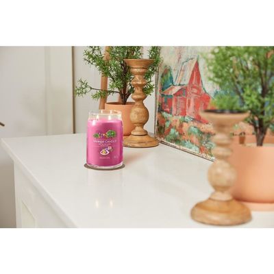 Yankee Candle Art In The Park 567g
