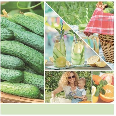 Yankee Candle Cucumber Mint Cooler 567g