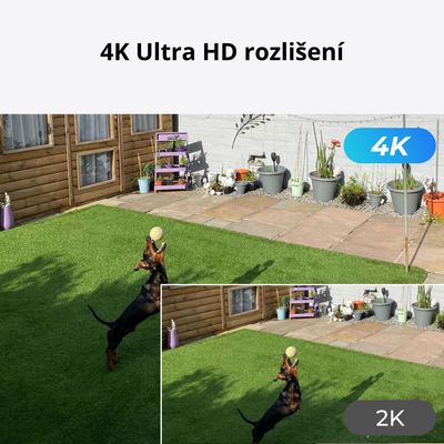 Reolink P850