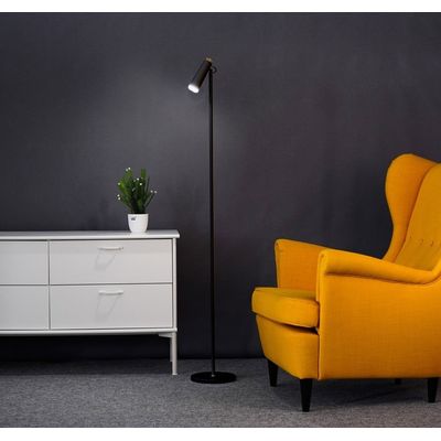 LED podlahová lampa Immax TIT, černá se zlatými prvky, CCT