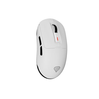 Genesis Zircon 660, bílá