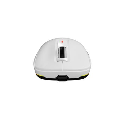 Genesis Zircon 660, bílá