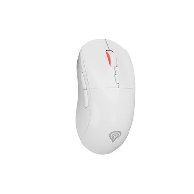 Genesis Zircon XIII, bílá
